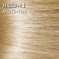 H.013 + I.1. CHAMPAGNE 9.013+10.1 - Luc Vincent