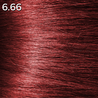 6.66 Paprika