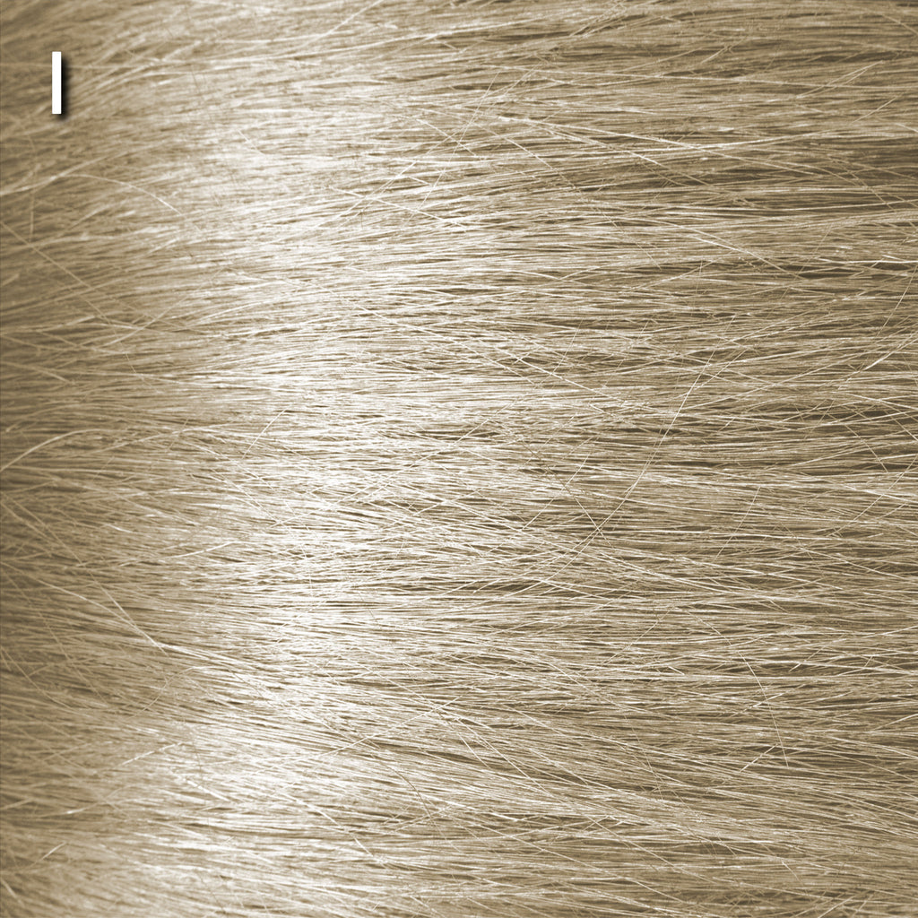 Blond pastel naturel - Luc Vincent