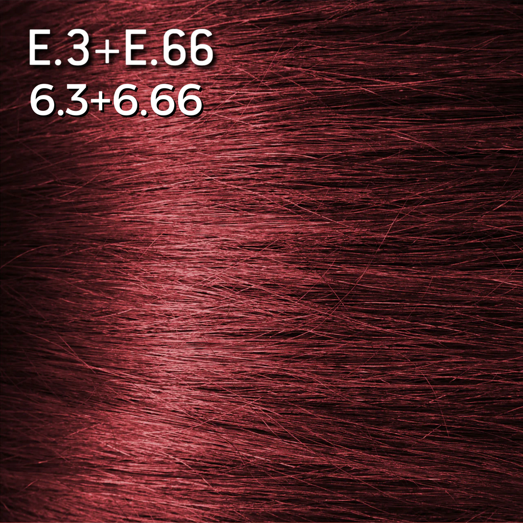 E.3 + E.66. ROUGE FLAMME 6.3+6.66 - Luc Vincent