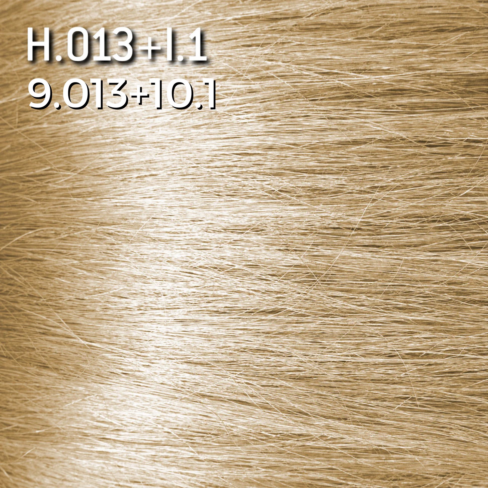 H.013 + I.1. CHAMPAGNE 9.013+10.1 - Luc Vincent
