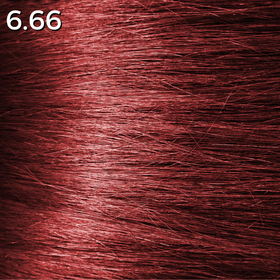 6.66 Paprika
