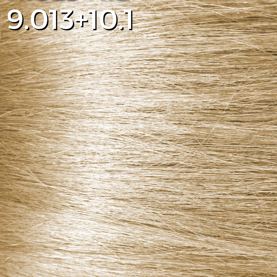9.013 + 10.1 - Champagne