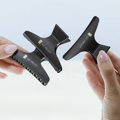 Set of 6 Luc Vincent hair clips